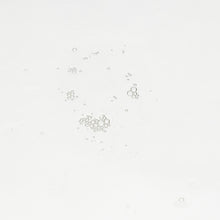 Carica l'immagine nel visualizzatore di Gallery, Essential Mist